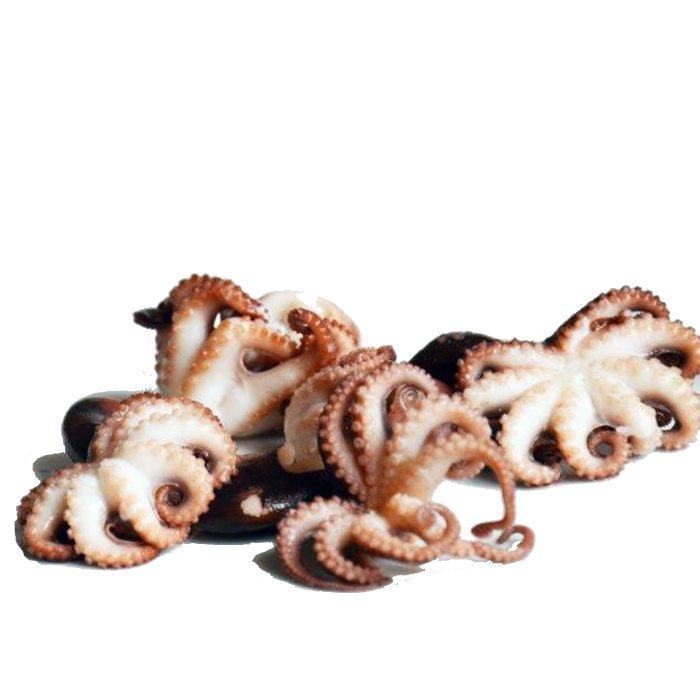 Baby Octopus Whole Cleaned 40/60 | 1kg