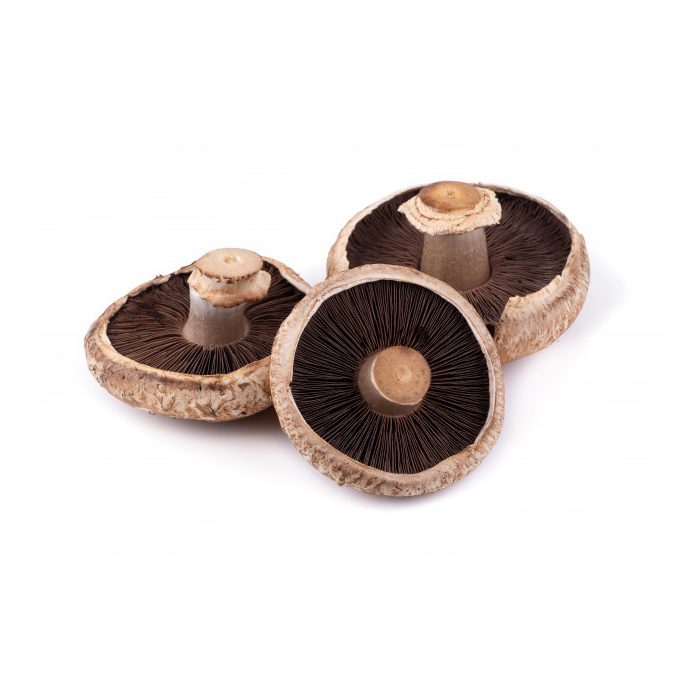 Portobello Mushroom 1kg