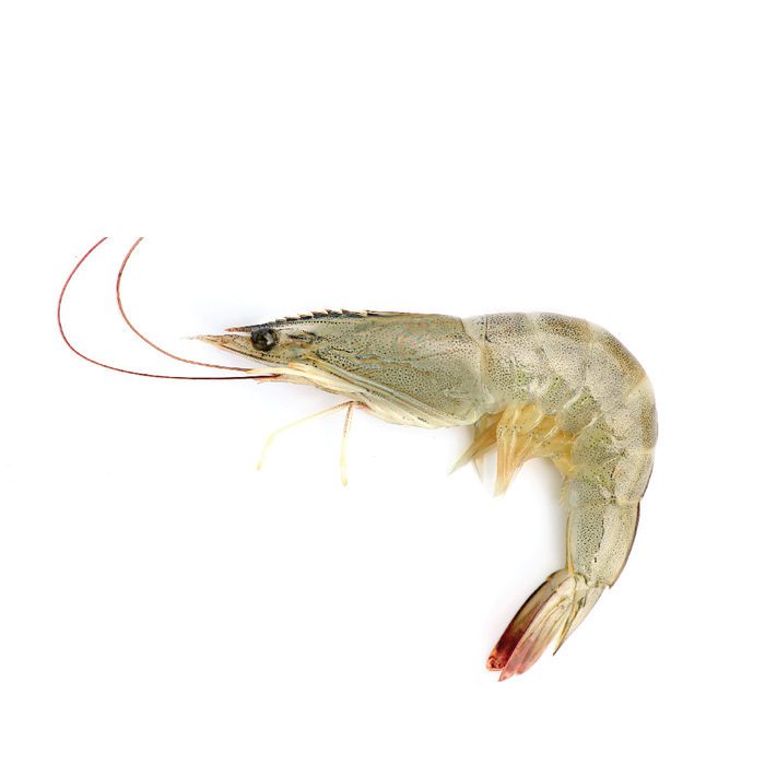 Raw Prawns Head On Shell On Soft Shell Prawn | 1kg